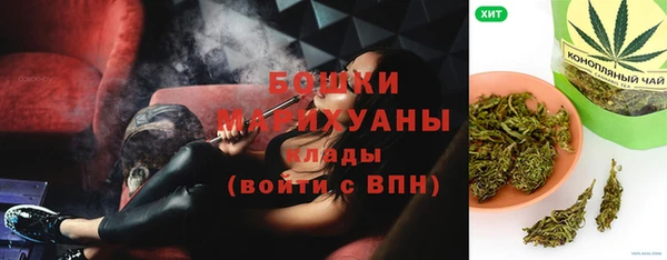 прущие грибы Дмитров