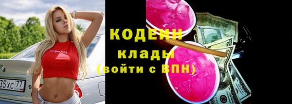 прущие грибы Дмитров
