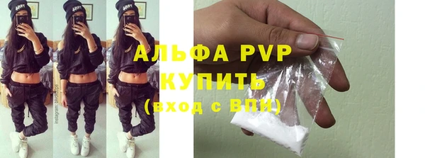 прущие грибы Дмитров