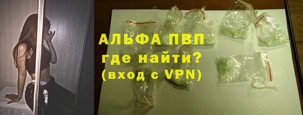 прущие грибы Дмитриев