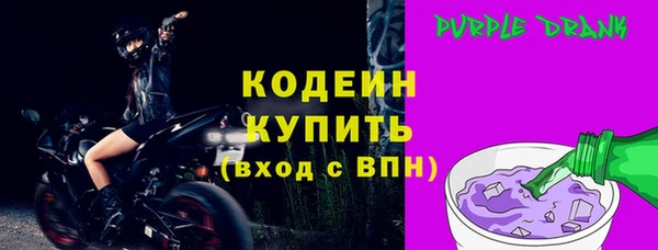 прущие грибы Дмитриев