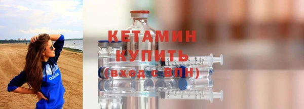 прущие грибы Дмитриев