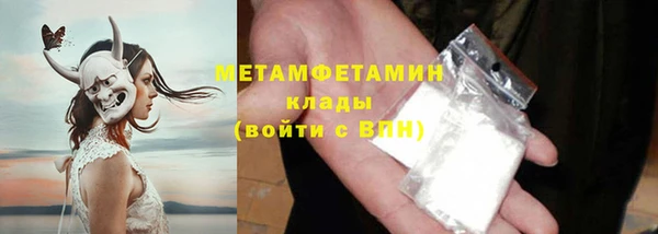 прущие грибы Дмитриев