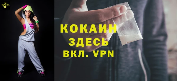 прущие грибы Дмитров