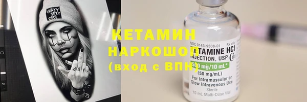 прущие грибы Дмитриев