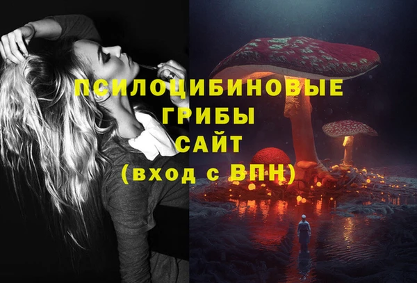 шишки Янаул