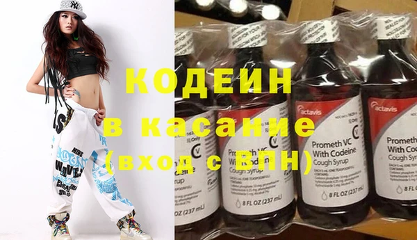 прущие грибы Дмитриев