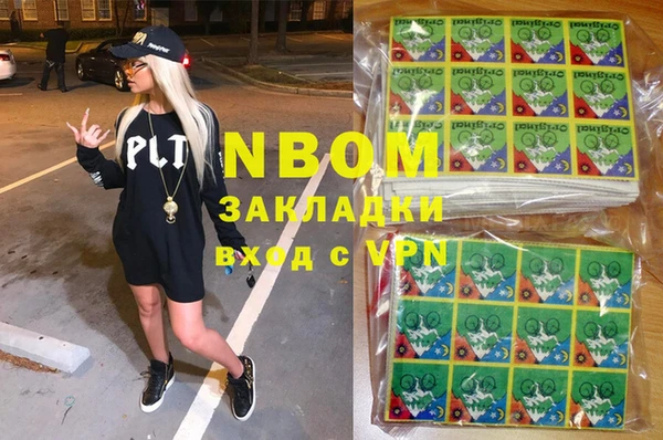 прущие грибы Дмитриев
