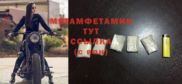 прущие грибы Дмитров