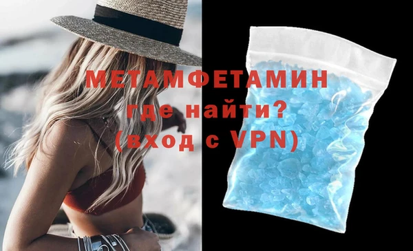 прущие грибы Дмитров