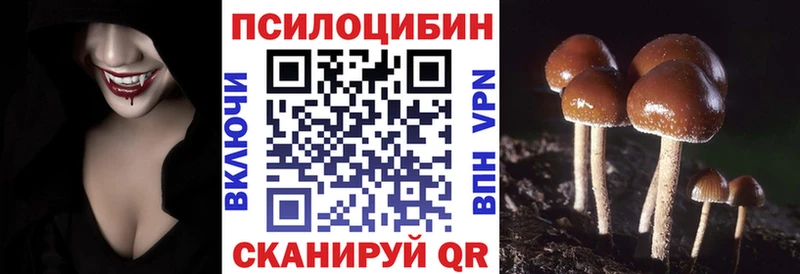 Псилоцибиновые грибы ЛСД  MEGA вход  Приозерск 