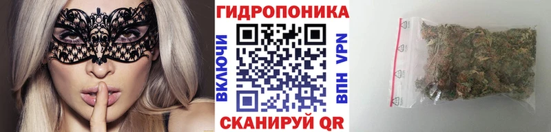Конопля THC 21%  mega вход  Приозерск 